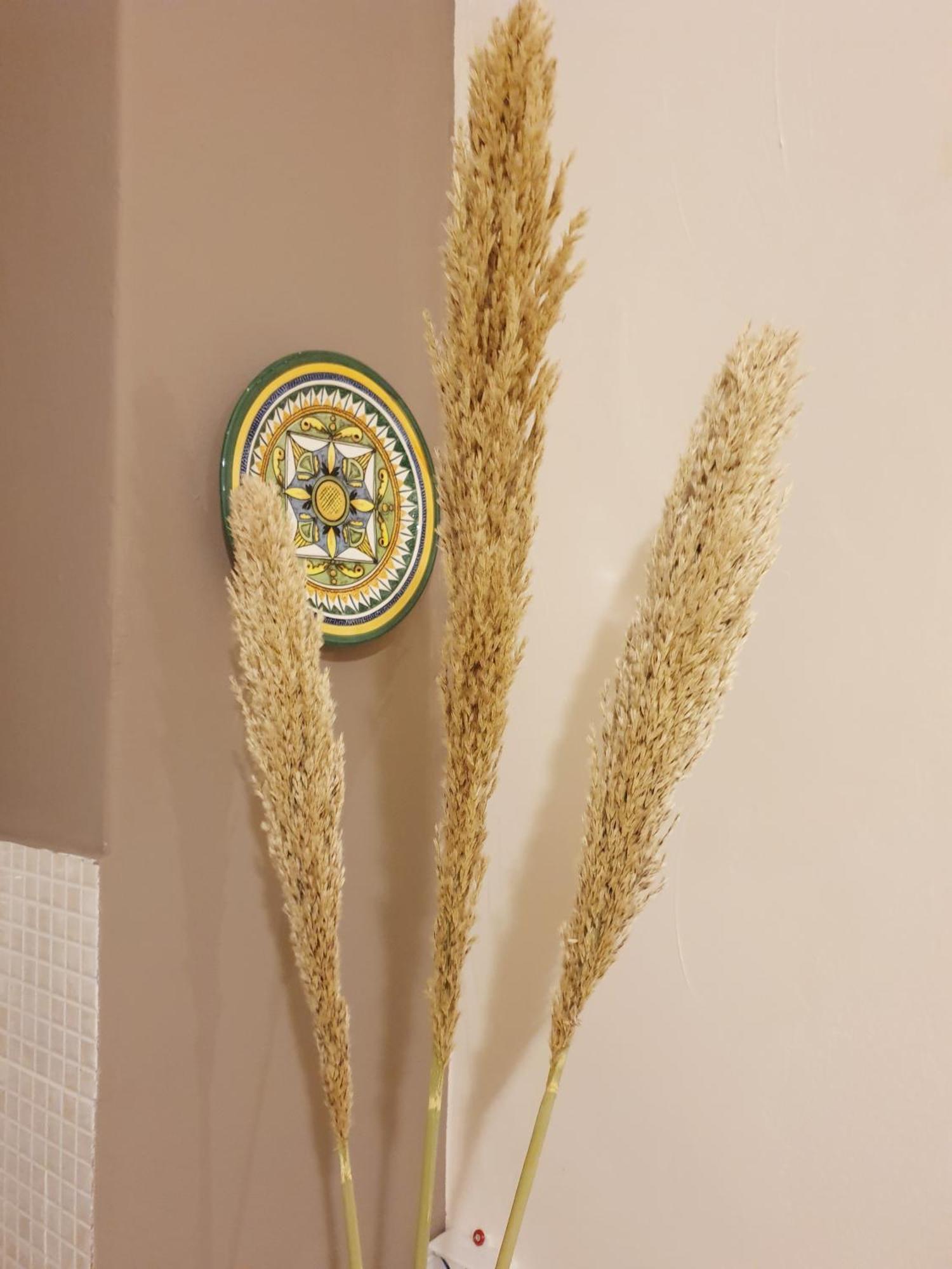 Dolce Casa Centro Storico Di Palermo New 2023 Apartman Szoba fotó